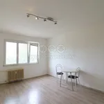 Rent 1 bedroom apartment in Most