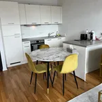 Rent 2 bedroom apartment of 60 m² in Leipzig