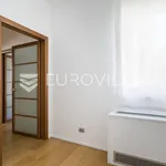 Rent 4 bedroom apartment of 297 m² in Zagreb