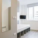 Rent 8 bedroom apartment in dublin