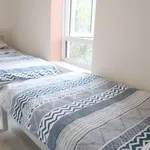 Rent a room in dublin