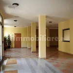 Rent 3 bedroom apartment of 84 m² in Turin