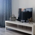 Rent 2 bedroom apartment in Brno