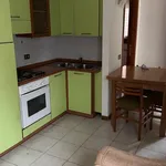 Rent 3 bedroom apartment of 40 m² in Rovigo