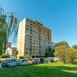 Rent 2 bedroom apartment in Kralupy nad Vltavou