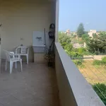 Rent 1 bedroom house of 55 m² in Marsala