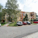 Rent 3 bedroom apartment in Opava