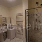 Rent 3 bedroom apartment of 120 m² in Bergamo