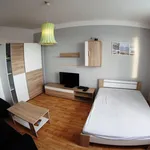 Rent 1 bedroom apartment of 33 m² in Ústí nad Labem