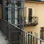 Rent 2 bedroom apartment of 70 m² in Torino