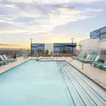 Rent 1 bedroom apartment in Tempe