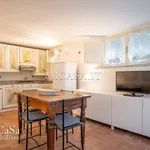 Rent 3 bedroom apartment of 65 m² in Pisa