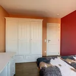 Rent 2 bedroom apartment in Leuven