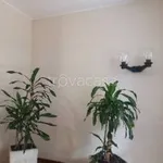 Rent 2 bedroom apartment of 75 m² in Segrate