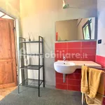 Rent 1 bedroom house of 60 m² in Forlì