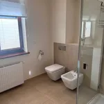 Rent 5 bedroom house of 260 m² in Szczecin