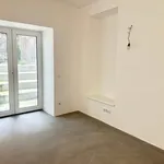 Rent 1 bedroom apartment of 60 m² in Vienna