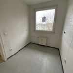 Rent 3 bedroom apartment of 71 m² in Essen