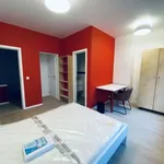 Rent 1 bedroom apartment in brussels