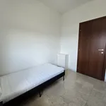 Rent 1 bedroom apartment of 110 m² in modena