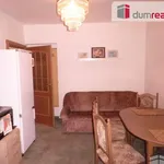 Rent 1 bedroom apartment in Praha 4