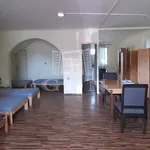 Rent 9 bedroom apartment of 250 m² in Gyál