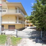 Rent 2 bedroom apartment of 50 m² in L'Aquila