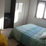 Rent 3 bedroom apartment of 70 m² in Pisa