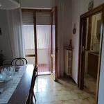 Rent 3 bedroom apartment of 80 m² in Florence