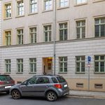 Rent 1 bedroom apartment of 38 m² in Dresden