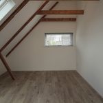 Rent 2 bedroom apartment of 59 m² in groningen