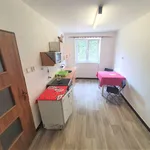 Rent 1 bedroom apartment in Teplice