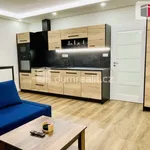 apartmán v Krušných horách 49 m2, Abertamy