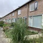 Huur 4 slaapkamer appartement van 66 m² in sommelsdijk