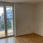 Rent 2 bedroom apartment of 42 m² in Graz