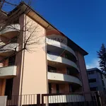 Affitto 2 camera appartamento di 55 m² in Busto Arsizio