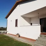 Single-family detached house via Delle Azalee 8, Pescia Romana, Montalto di Castro