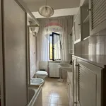 Rent 2 bedroom apartment of 73 m² in L'Aquila