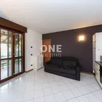 Rent 1 bedroom apartment of 38 m² in Lesmo