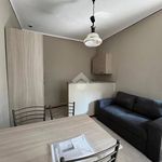 Rent 2 bedroom apartment of 40 m² in Novara