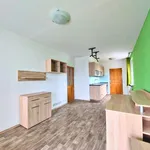 Rent 2 bedroom apartment of 46 m² in Praha