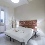 Rent 3 bedroom apartment of 55 m² in Firenze