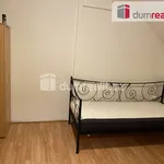 Rent 1 bedroom apartment of 15 m² in Capital City of Prague