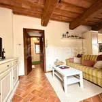 Rent 2 bedroom apartment of 50 m² in Vicopisano