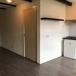 Rent 1 bedroom apartment of 25 m² in Binnenstad-Zuid