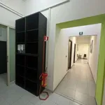 Affitto 6 camera appartamento di 270 m² in Naples