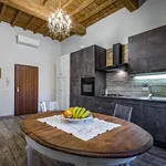 Rent 1 bedroom apartment in Florence