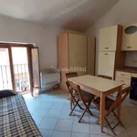 Rent 1 bedroom apartment of 15 m² in Caselle Torinese