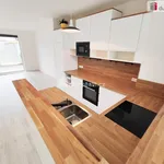 Rent 1 bedroom house of 65 m² in Capital City of Prague