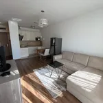 Rent 1 bedroom apartment of 40 m² in Budapest